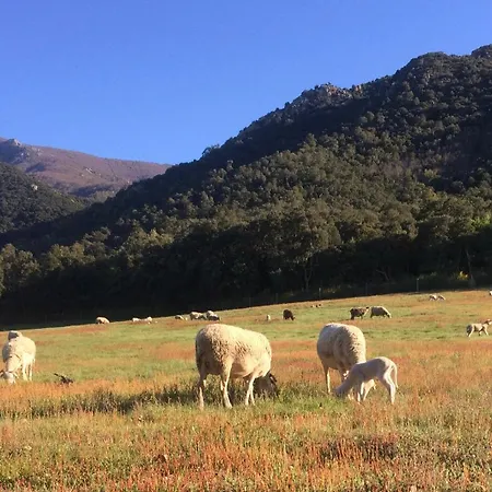 Avec Vue - La Casa De L'òliba - Et Montagne - Laroque-des-albères Laroque-des-Albères